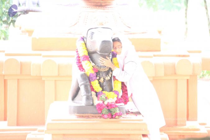 20110817 Photo 1011 1i3vaeJfDgQAXTB KcJwixWqrlLoG25gG.JPG