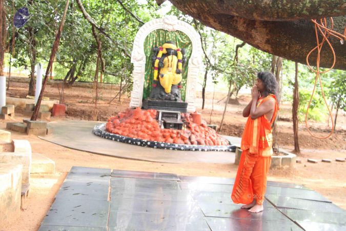 20110817 Photo 1041 1w9tqLCIacNO6nvEE 2JQhVmer1xUps2D.JPG