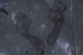 Thumbnail for version as of 08:44, 13 January 2021
