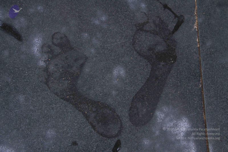 File:20110817 Photo 1045 12bm 13ojw3E2SDFSAHGaVo9A6JJ1iHaU.JPG
