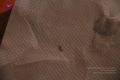 Thumbnail for version as of 08:45, 13 January 2021