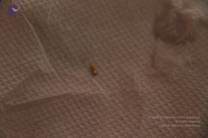 20110817 Photo 1114 1Q6qt4fhkYhqTnmpC1DIKZzTpi1ZU1Zl2.JPG