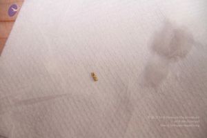 20110817 Photo 1116 1qn uF9ZQPqrAKX23iZx4LuO60dJFEgyX.JPG