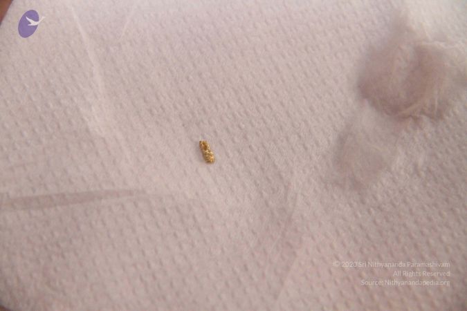 20110817 Photo 1117 1PltVr7qjrN80hyWJp-1dhRJ Wvxk1NQi.JPG