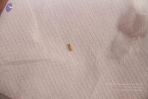 20110817 Photo 1118 1s8pz gn8 iMK5DwiipLm LLNTc7o1I5d.JPG