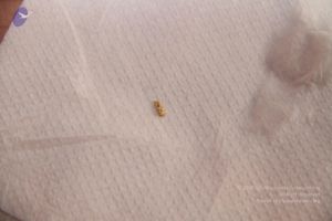 20110817 Photo 1119 1M3R9lURX5MWWx4P0ENcaGB2JnPJ6Qt-h.JPG