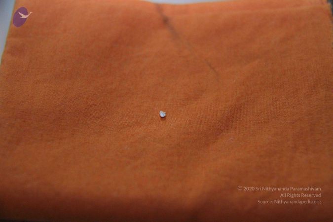 20110817 Photo 1123 1bFBzzci0sfX7cij7uNsRvtllB5fJgngd.JPG