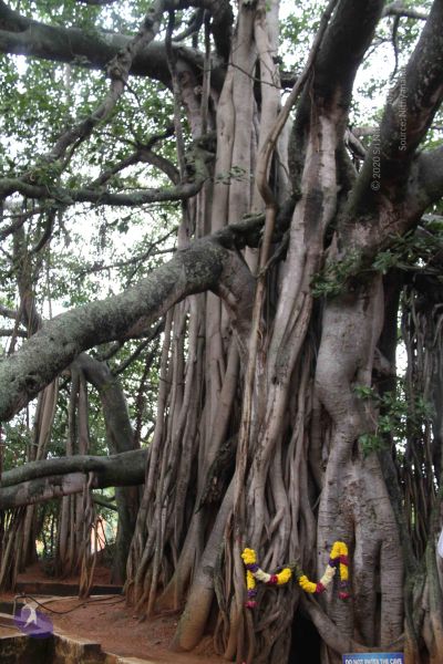 File:20110818 Photo 1004 1X51ZfP90oX-mpRIgDI1HfzLDkYnex2OQ.JPG