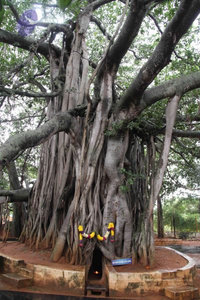 File:20110818 Photo 1035 1EdkfSrarxLguS4FhLH3JszHMSVYmpPZ3.JPG
