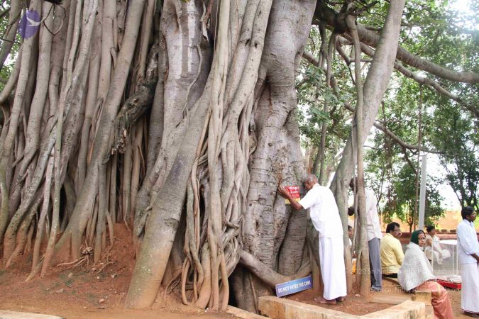 20110821 IMG 5617 CMP WM 01.jpg