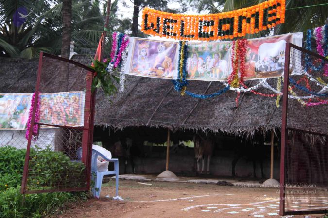 20110822 Photo 1005 1MKCEqXCHX7t57hPpuB-Ix7sZ~8lrcz8.JPG