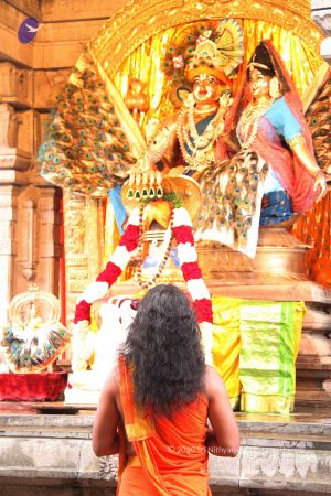 20110822 Photo 1025 1vzFVX4TGTluqDasOo1Fgn9M-fwEA8xV7.JPG