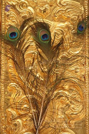 20110822 Photo 1288 1hWxl-EvRPm NoSsBWnbcYBSqK2patdN-.JPG