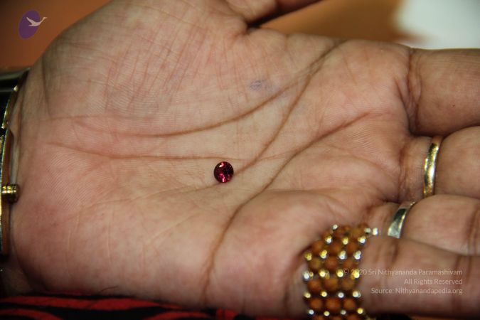 20110825 Photo 1006 1G-x6FU31CdU3VL5X8Hamo-p6B9wdMy92.JPG