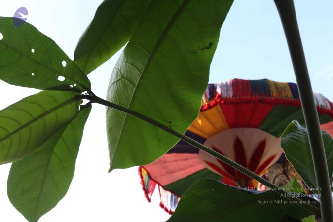 20110828 Photo 1064 1PRaAiZpjmRD1opgp0GEs5bDYHNGOj3QI.JPG