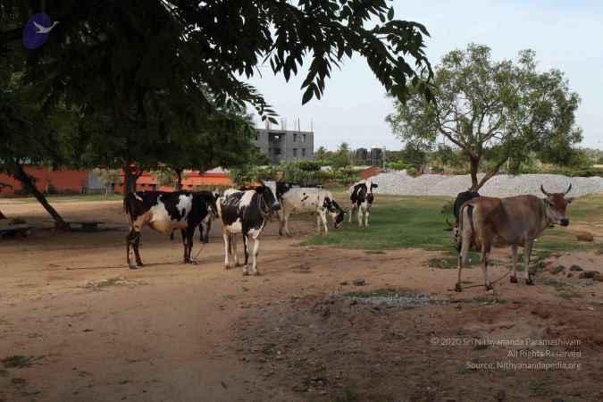 20110828 Photo 1082 1kMQX pNU8AAsq0stYG-JyFdGu-E1kiHR.JPG