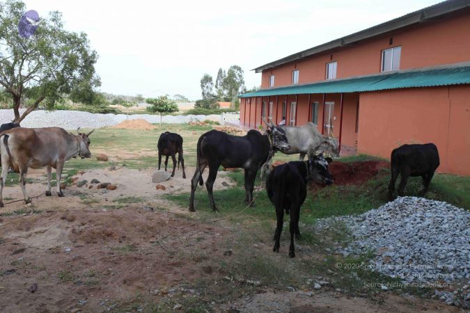 20110828 Photo 1083 16bxX3oTARlkMWSCT1FOoomnYNM5yN9i4.JPG