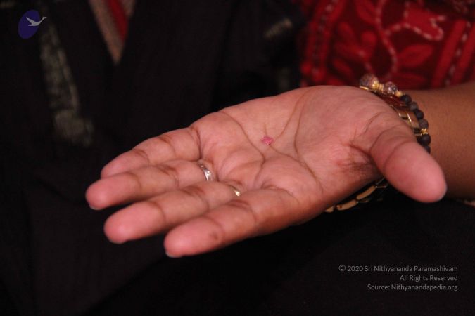 20110828 Photo 1109 1vXLWCk3h6eoZOt44NYhIbCsjYE19GxAe.JPG