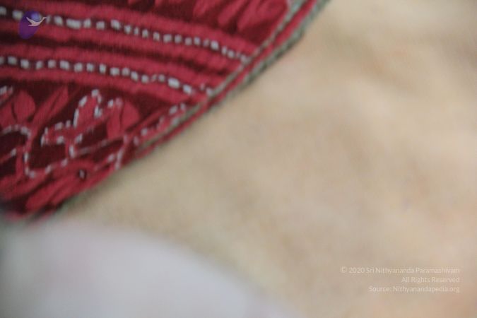 20110828 Photo 1139 1sxCCtPIkokyL4kIJDSbAQyQjo6y1WnvT.JPG