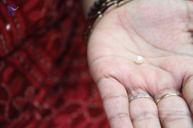 20110828 Photo 1150 1Qsema-ZR9WCegGJG ChAxEsJUaf6Frp4.JPG