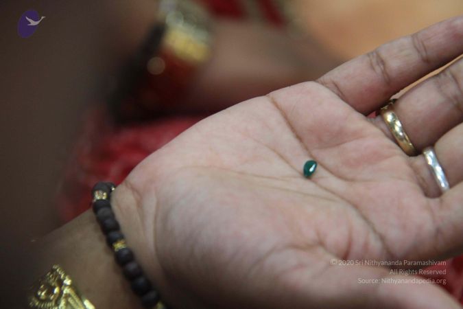 20110828 Photo 1152 1ShXp7F lpp6P-VaXtv21tRWB4VjLmGSy.JPG