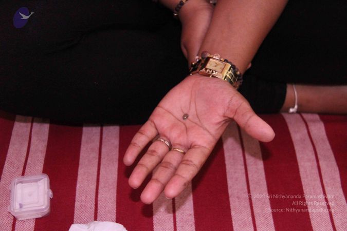 20110828 Photo 1174 1NYhxR-z7N08ynDUiEciJhIrk3 fOAL7N.JPG