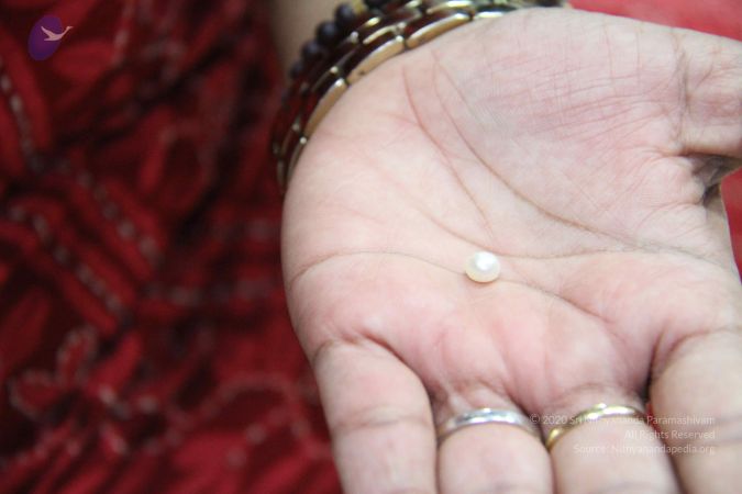 20110828 Photo 1219 1mEEj6D8kZQC91kxnFjMiiW7iDUUTj7o0.JPG