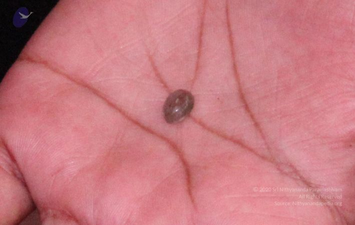 20110828 Photo 1249 19bRiHl2FoNidjf41qvb8ExZeCDK846ME.JPG