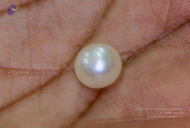 20110828 Photo 1250 1tiW1O72VYqUOmu40TMSQoeepMJ9exWer.JPG