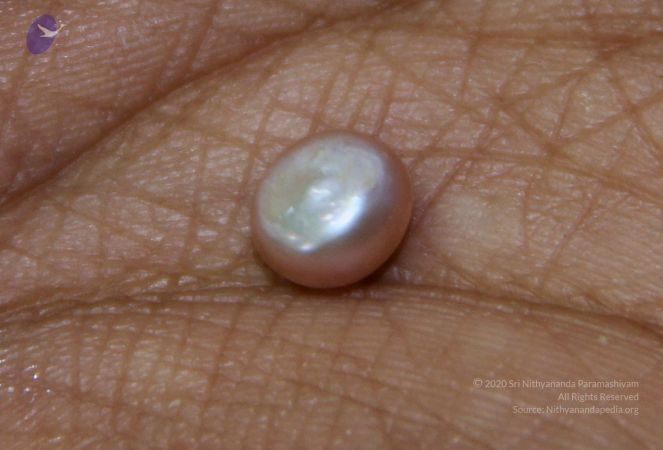 20110828 Photo 1257 1Dyz71 WgeM0UgtmIKey6875u Dii2xku.JPG