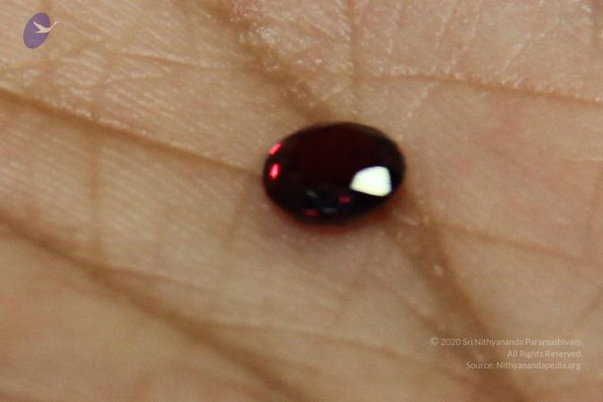 20110828 Photo 1258 1txXGvLlEitDgXLsrnQg6yDvY1rIHP1--.JPG