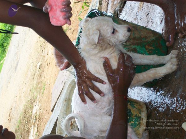 20110828 Photo 1329 11G77TlaT-dqz7MEcEpXPmJWCFhCSiuXz.JPG