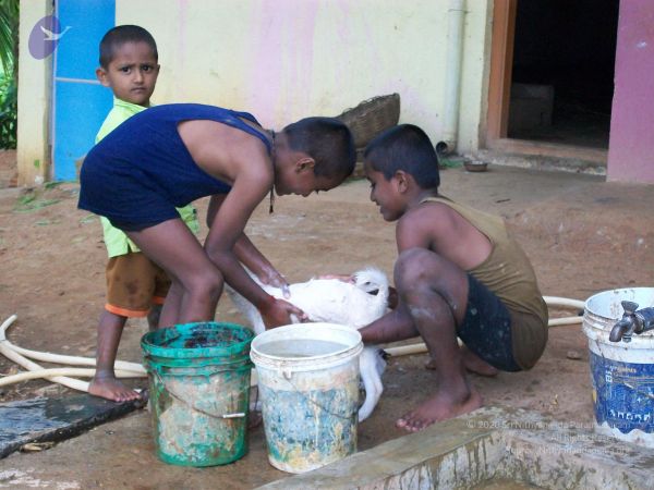 20110828 Photo 1337 1WVVBp4SdDAFkAli57A8ZuaRmp9awK8en.JPG