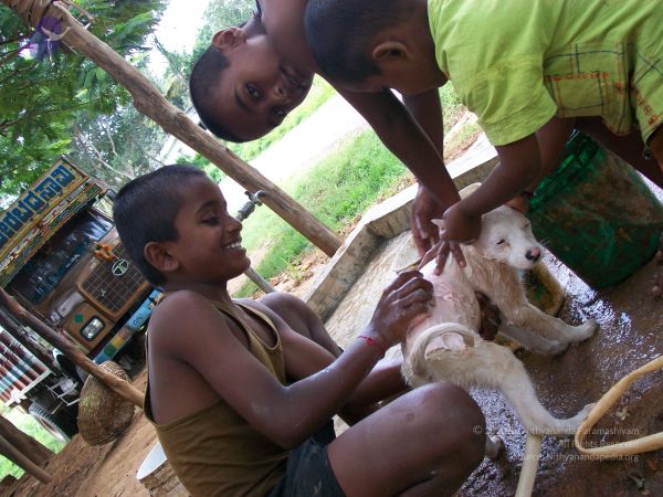 20110828 Photo 1341 1XWF uJHr4THaaRXN-uCs0nt0HFqnWEgX.JPG