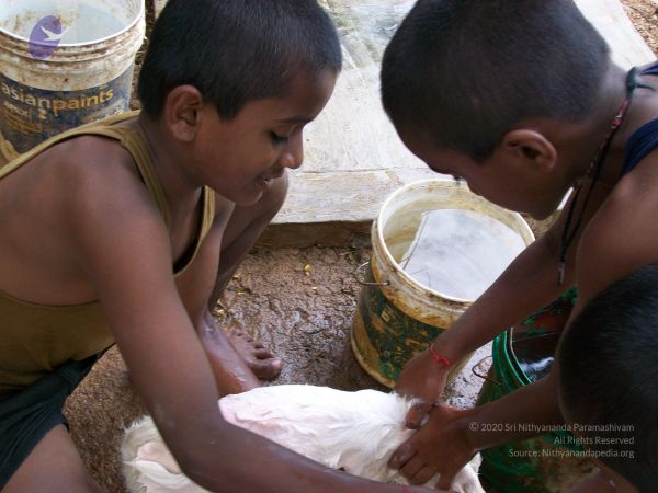 20110828 Photo 1342 1U4IQcar7QXvRNxZ7yhO19ijc IBzPGbM.JPG