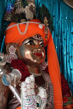 20110828 Photo 1367 1Il1HPAgvLxJ8U2lncM9dCtutCC1Bh1Lu.JPG