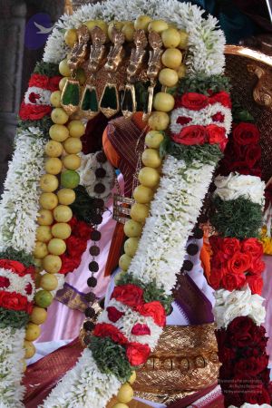 20110828 Photo 1378 1Y0m5VaaEHHYNRTFWLsklpGVKhduocqZN.JPG