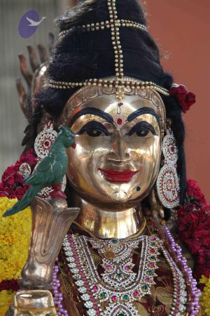 20110828 Photo 1384 1SuN8PKqmleUXUYHMO0BnNVkfmU1VnPc7.JPG