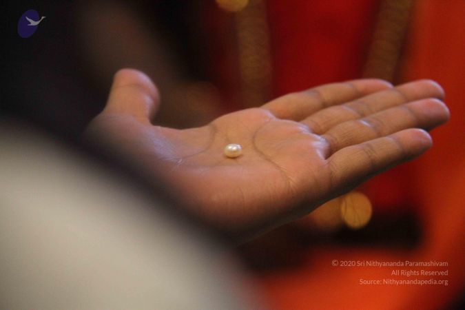 20110830 Photo 1086 12oKY6E8 Ka0nU-CLDpaJnT-wso F0cH-.JPG