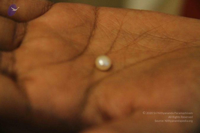 20110830 Photo 1087 18PH-NjQotw 1QbaYO8-vaoQgQUU8DS9b.JPG