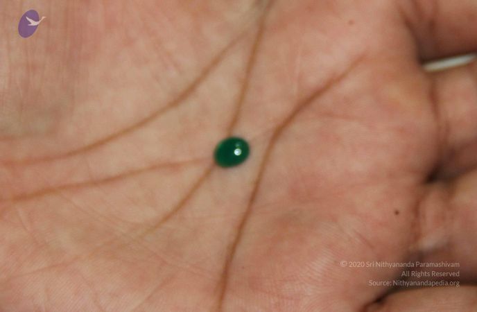 20110830 Photo 1259 1UcaEYS9u0hj AM6K08sHiZBdC8AR6mWJ.JPG