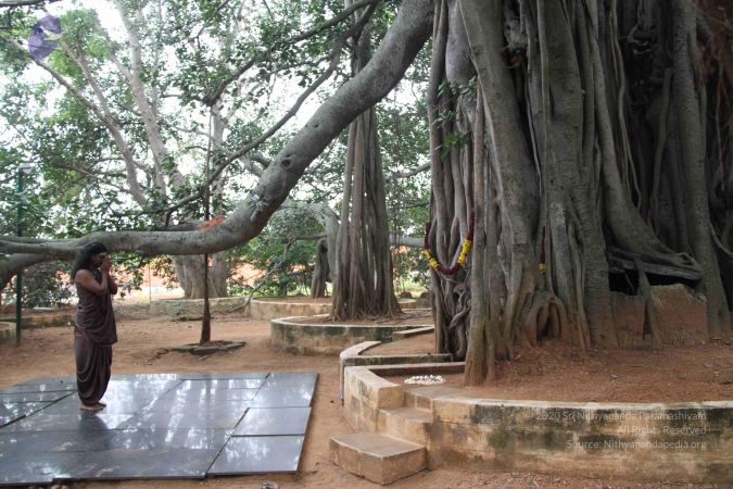 20110831 Photo 1003 1 JqGU4lXG6lx0KXPnHgsH0iR6PmyI6aW.JPG