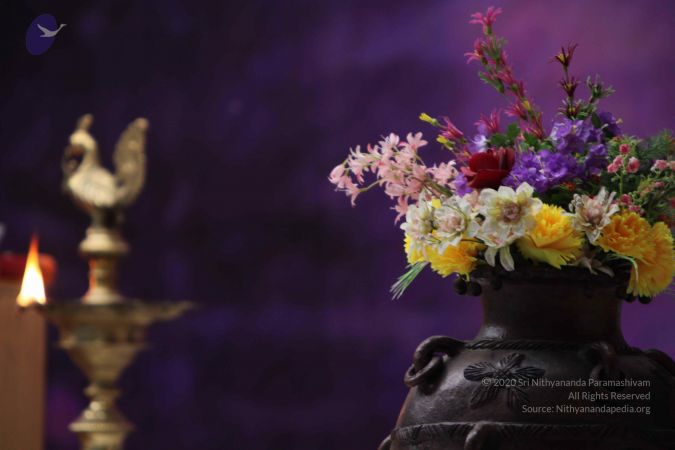 20110831 Photo 1142 1NvaFrNDmsTskOicBDUvYz03Jpv0WTudi.JPG