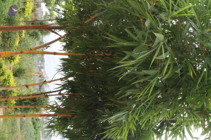 20110831 Photo 1329 1Iq5mUDO8WXgwAZg2ttI1jQuR2PQK4t1h.JPG