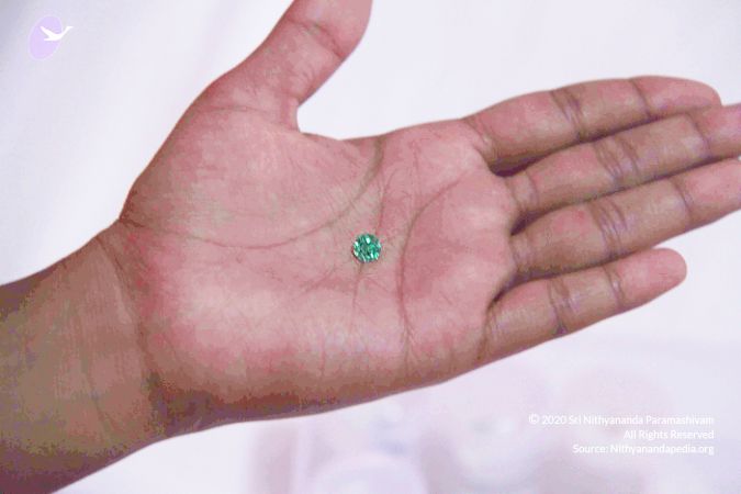 20110901 Photo 1046 1as3O1jf4Oix8OTl-oCMrxtzbPTndKiCJ.JPG