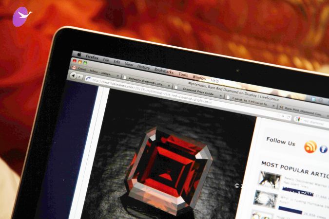 20110901 Photo 1067 1tkRXJHX5kDnjZ4LyQJx0P-niSFWUBsVG.JPG