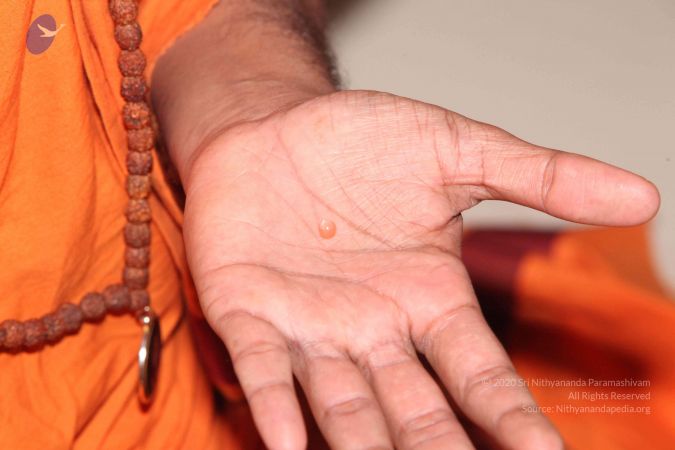 20110901 Photo 1068 1udSD2NHz3SvbBLg 6Atf5AEhW9AQyaDx.JPG