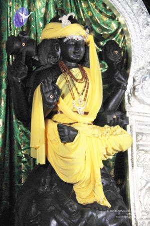 20110901 Photo 1085 1Wv3gFGkebk85U4JWIZWvP3MtQM6kqfL5.JPG