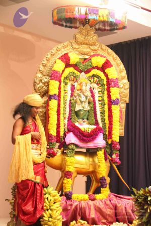 20110901 Photo 1174 1exByGYe-DDr2qd3TJ89ZHg5ccqGYGCYV.JPG