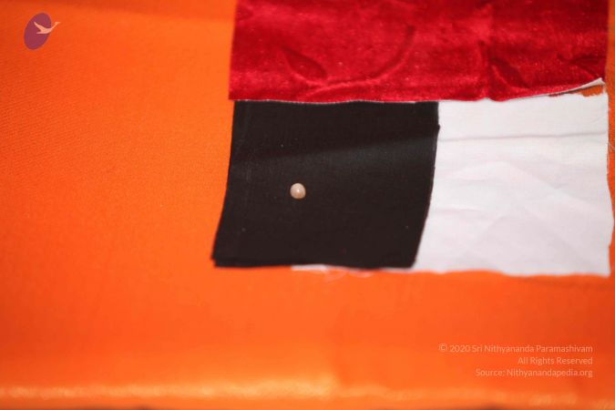 20110901 Photo 1223 16yrwiyt9jWQ0qfjaBsMTWVJsBUMjdu8N.JPG